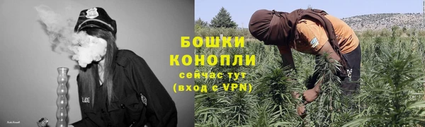 мдпв Няндома