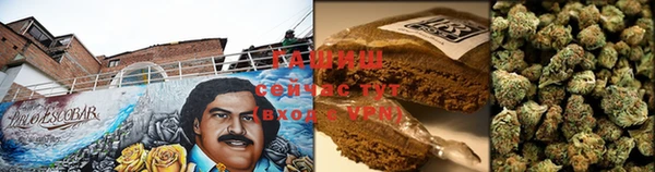 мдпв Няндома