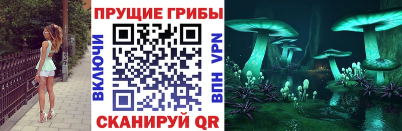 Купить закладки  Прокопьевск  Галлюциногенные грибы мухоморы 