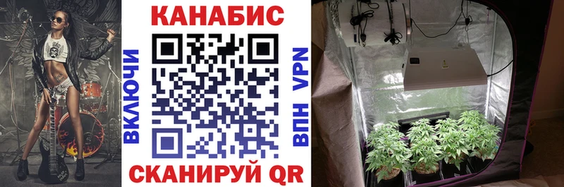 Купить  Прокопьевск  Бошки Шишки Amnesia